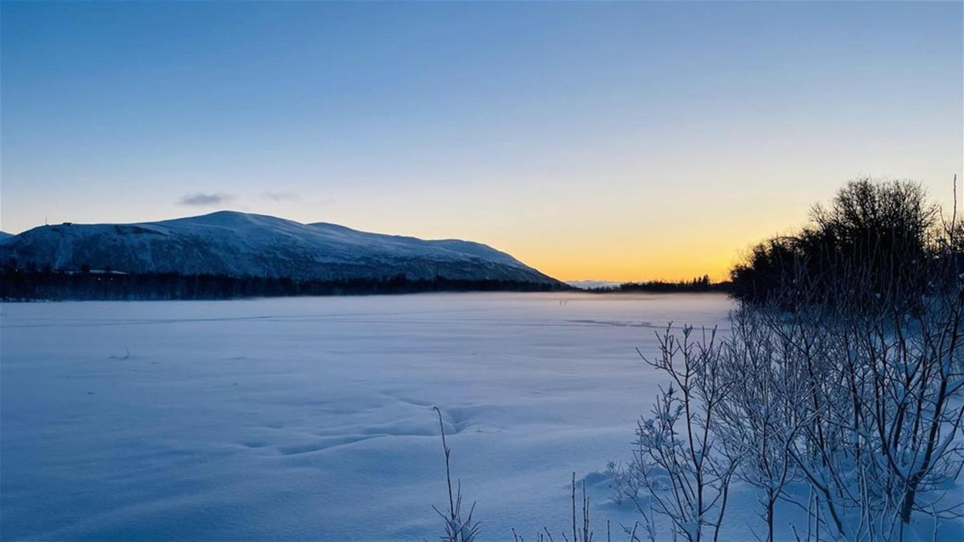 Arctic Escape Studio In Tromsø Dış mekan fotoğraf