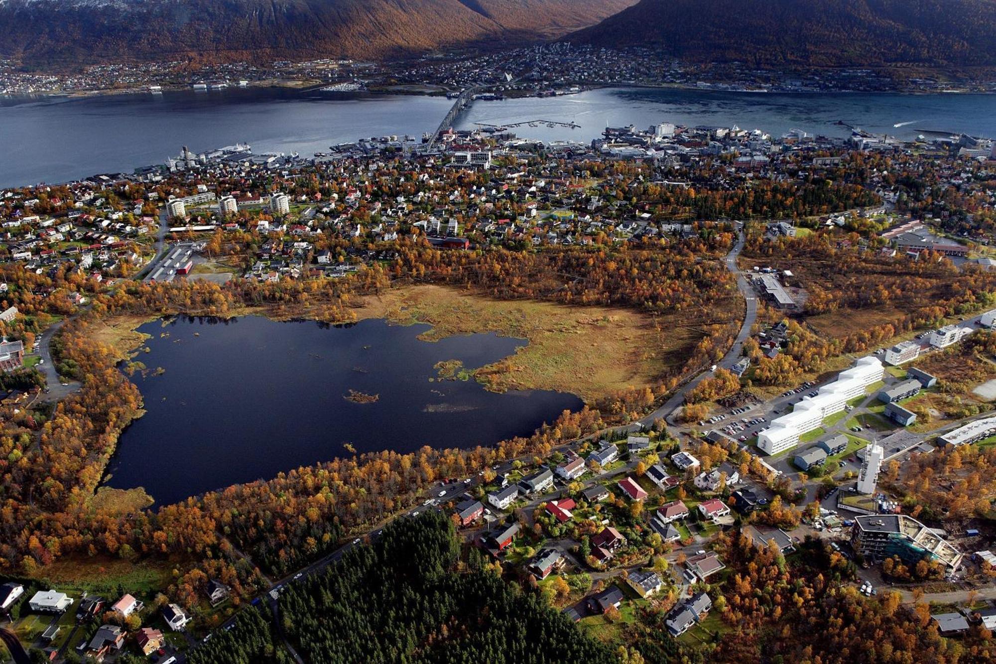 Arctic Escape Studio In Tromsø Dış mekan fotoğraf